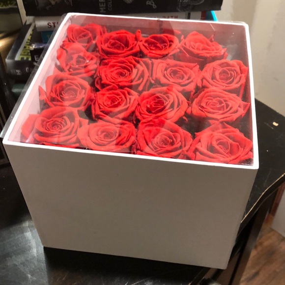 Sold❤️ Premier Forever 🌹 Roses - Picture 3 of 3